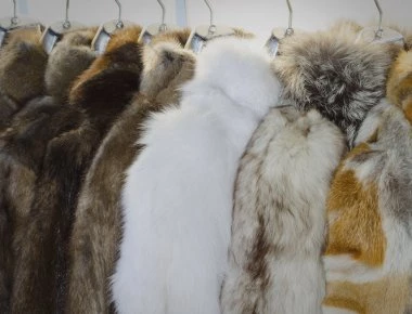 Τέλος οι γούνες στη Νορβηγία -Κλείνουν τις φάρμες εκτροφής αλεπούς και μινκ